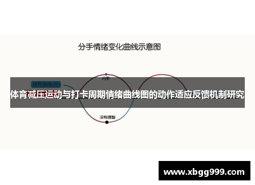 体育减压运动与打卡周期情绪曲线图的动作适应反馈机制研究