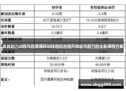 体育耐力训练与自重循环训练相结合提升体能与耐力的全新课程方案